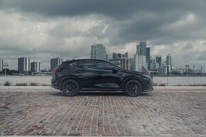 2024 Lexus NX 350 F SPORT - Image 2